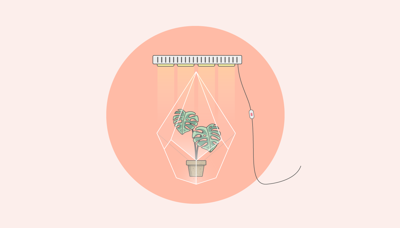 What Is Growth Hacking and How to Use It in Business