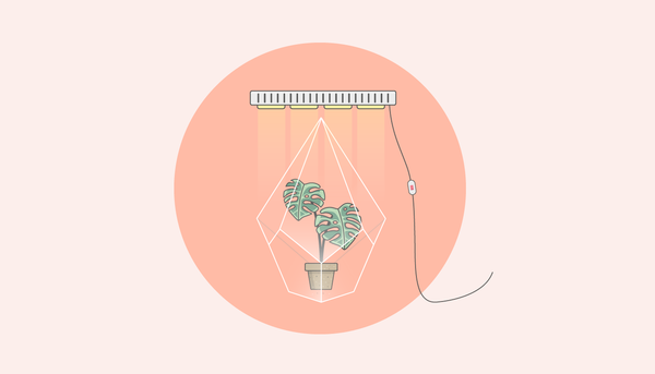 What Is Growth Hacking and How to Use It in Business