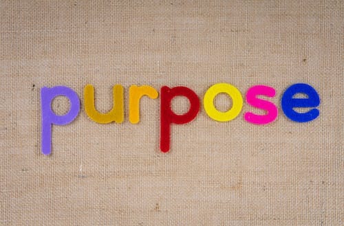 Purpose, Profit, People, & Product
